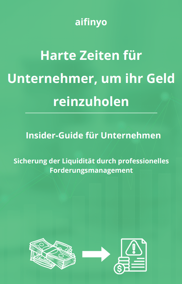 e-Book Inkasso